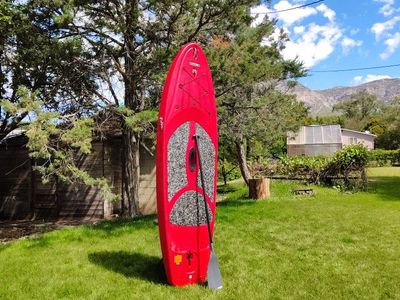 Lifetime Paddleboard