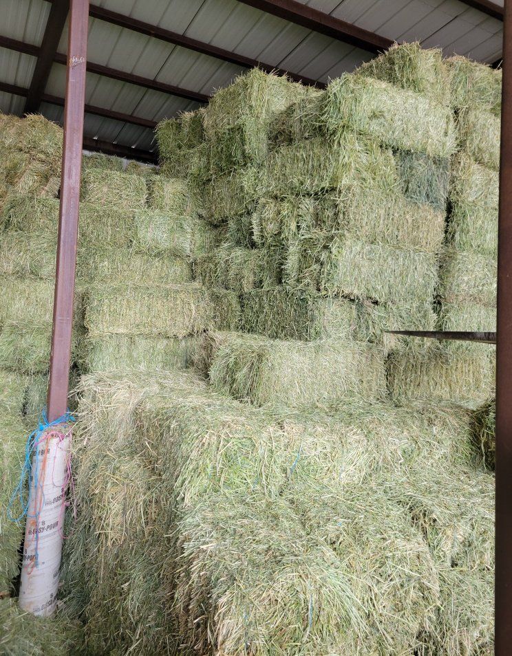 PREMIUM horse quality hay / Delivery services