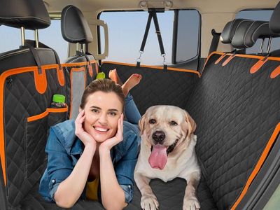 Back Seat Extender for Dogs, Hard Bottom Protector
