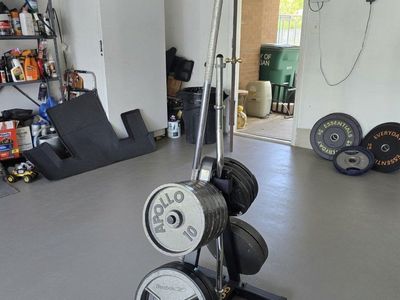 Gold's Gym Plate Tree & Bar Holder - Space-Saving Vertical Storage for Home Gym