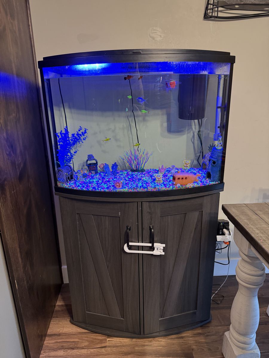36 Gallon Aquarium Fish Tank