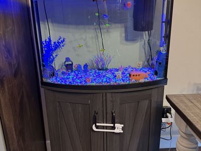 36 Gallon Aquarium Fish Tank