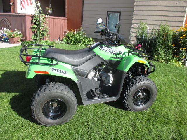 Arctic Cat 300 