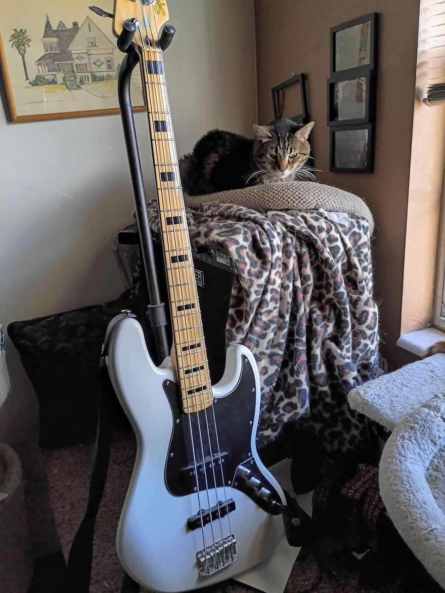 Fender Squier Jazz Bass