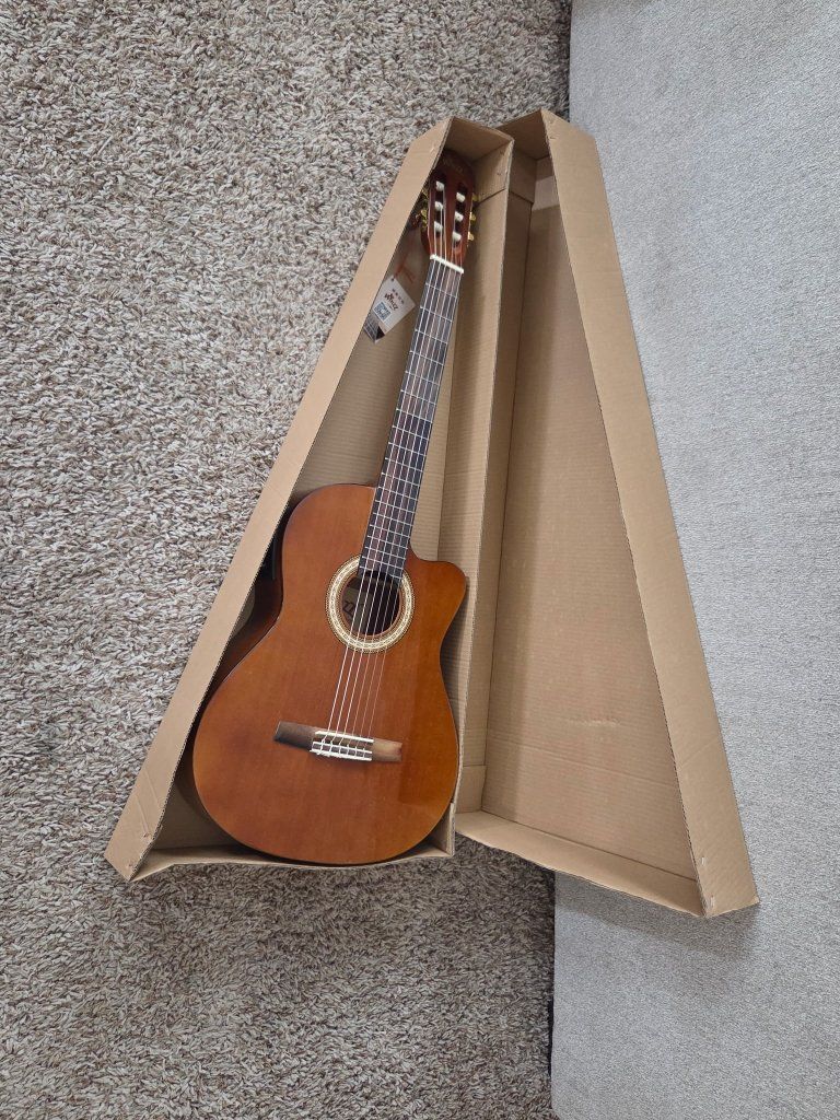 Winzz by Aileen Classical Electric Acoustic guitar