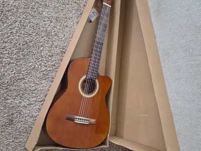 Winzz by Aileen Classical Electric Acoustic guitar