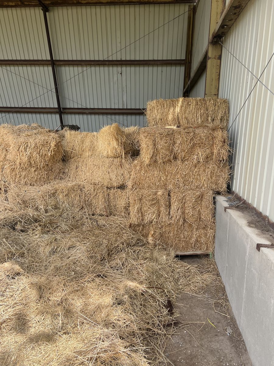 Hay for sale