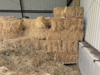 Hay for sale
