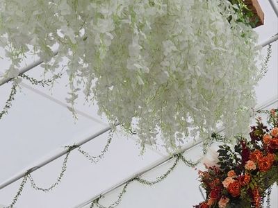 Wedding Wysteria Fixture