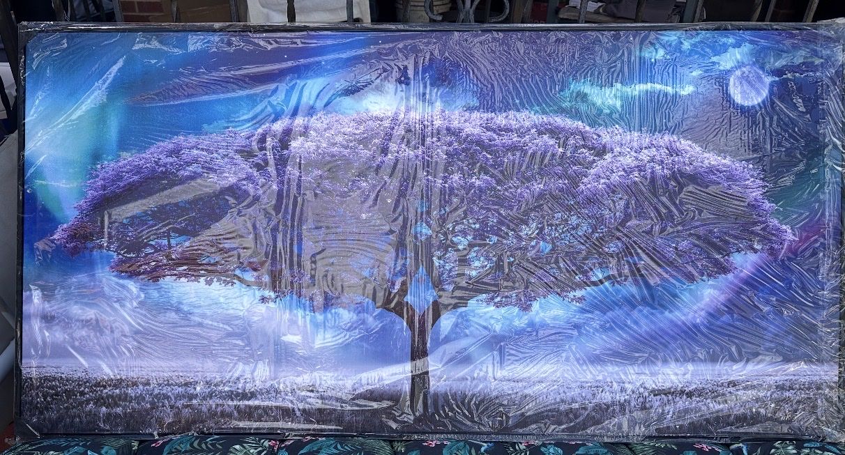 Main image 6