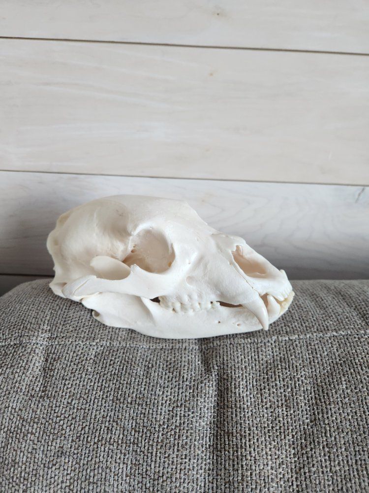 Main image 7