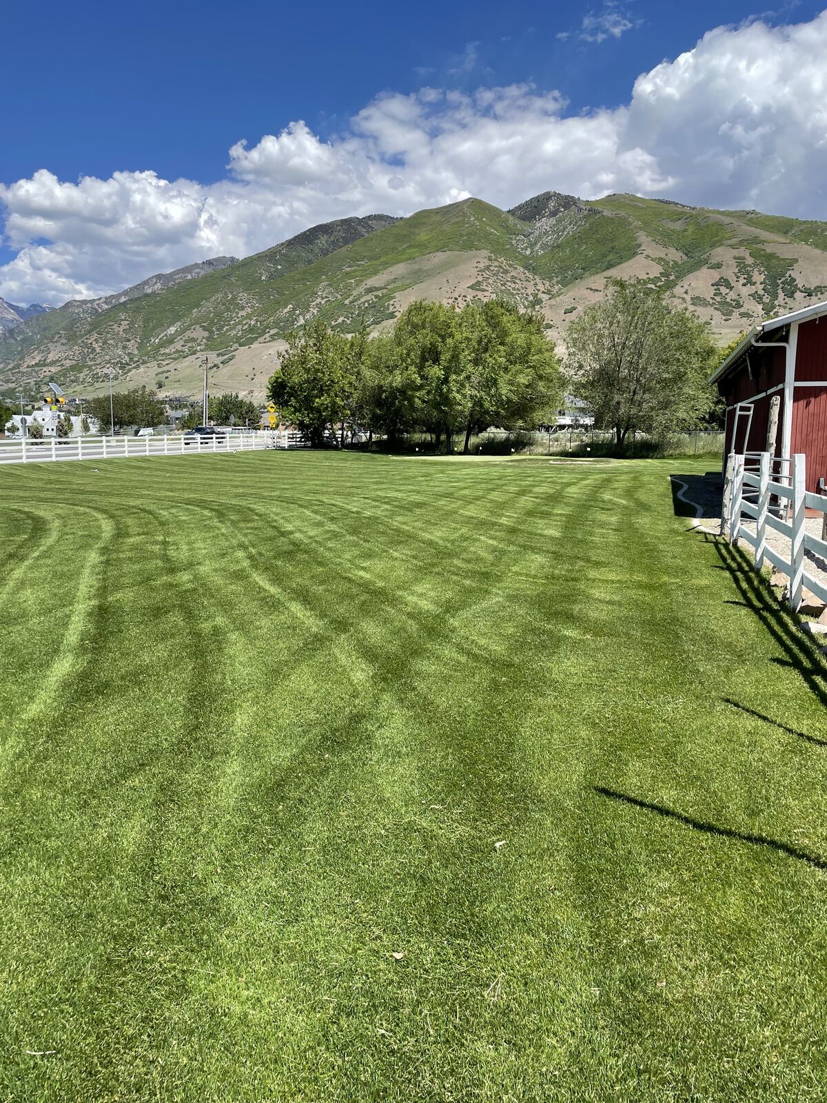 Lawn Care | Lawn Maintenance | Professional Mowing | Grass Cutting | Edging & Trimming