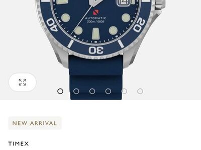 Timex Deepwater Watch.