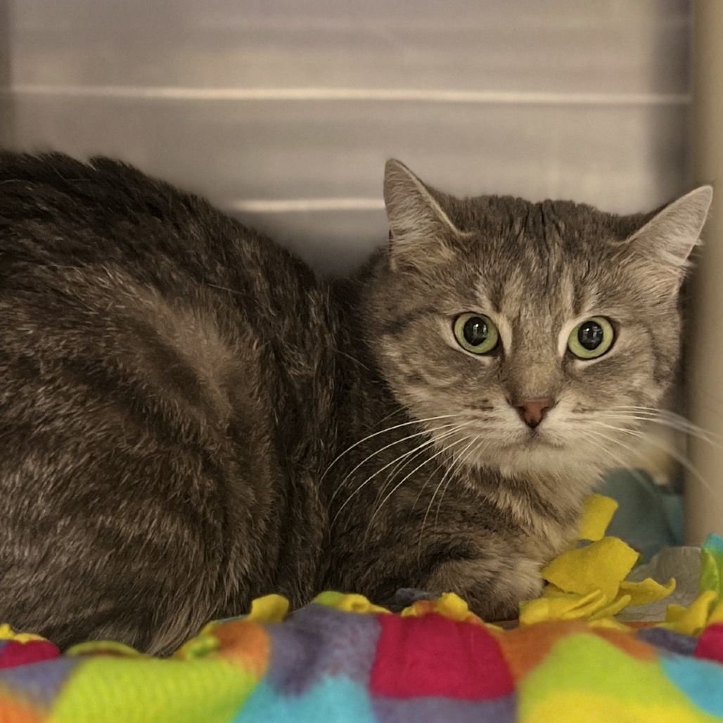 Hello my name is Twila