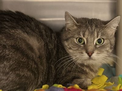 Hello my name is Twila