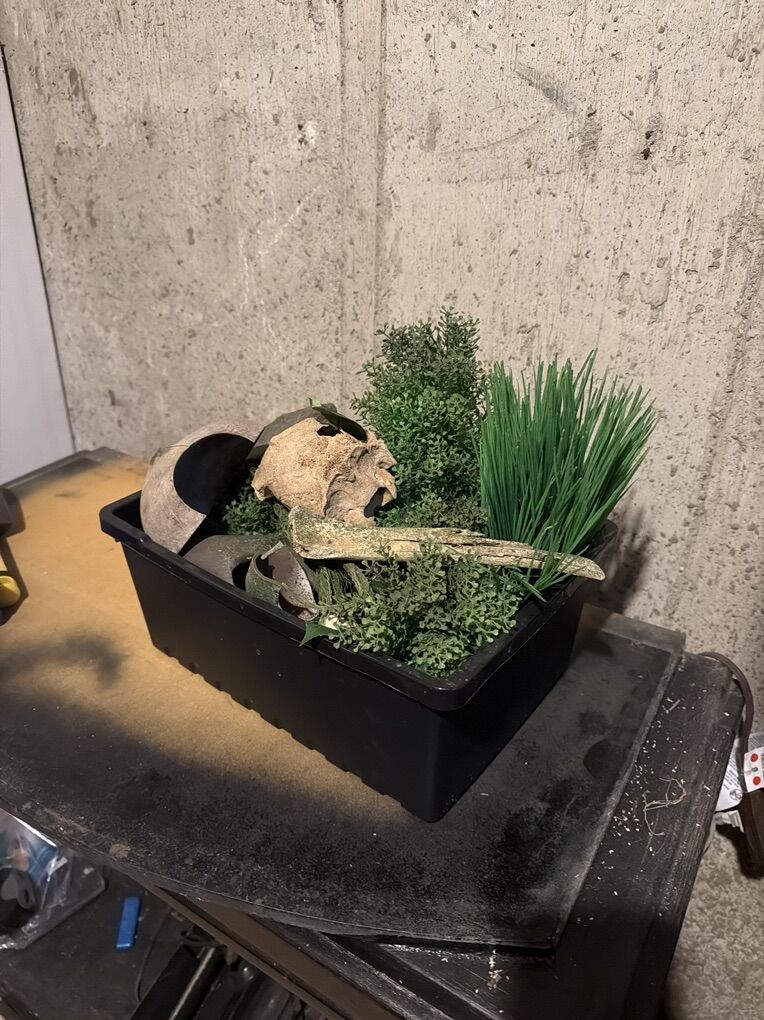 Aquarium Decor And Caves