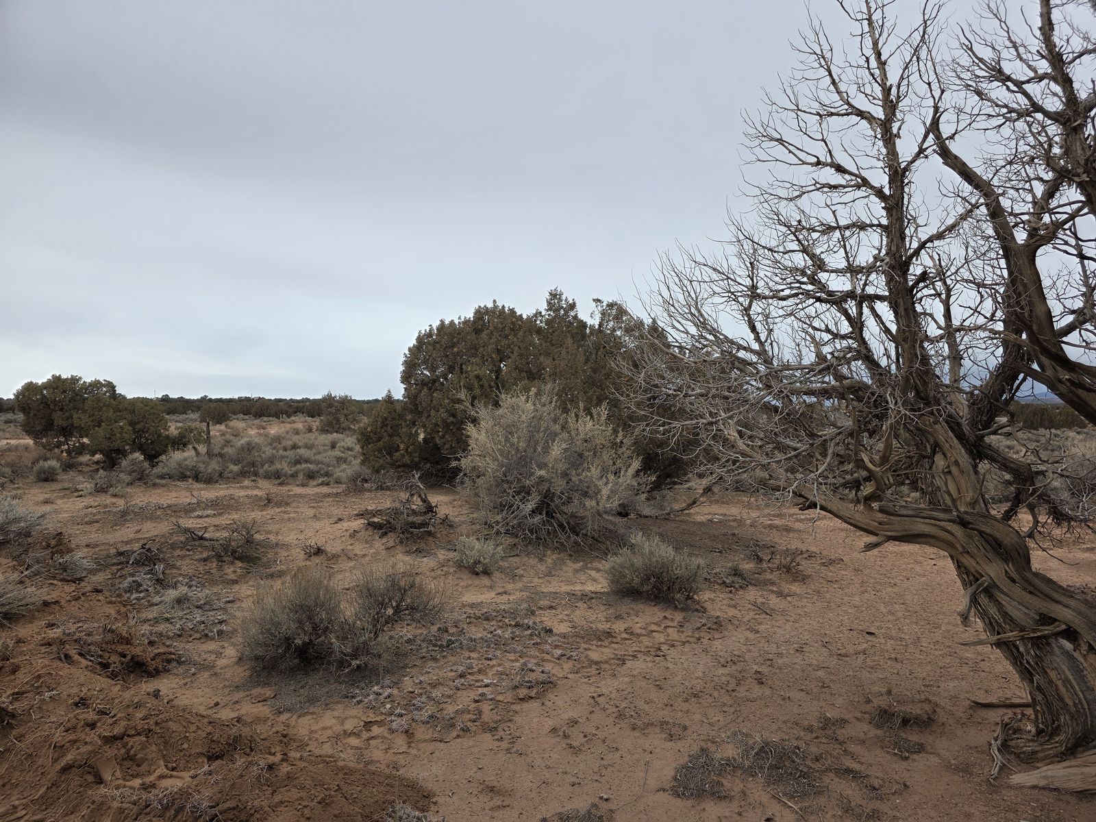 Main image 8