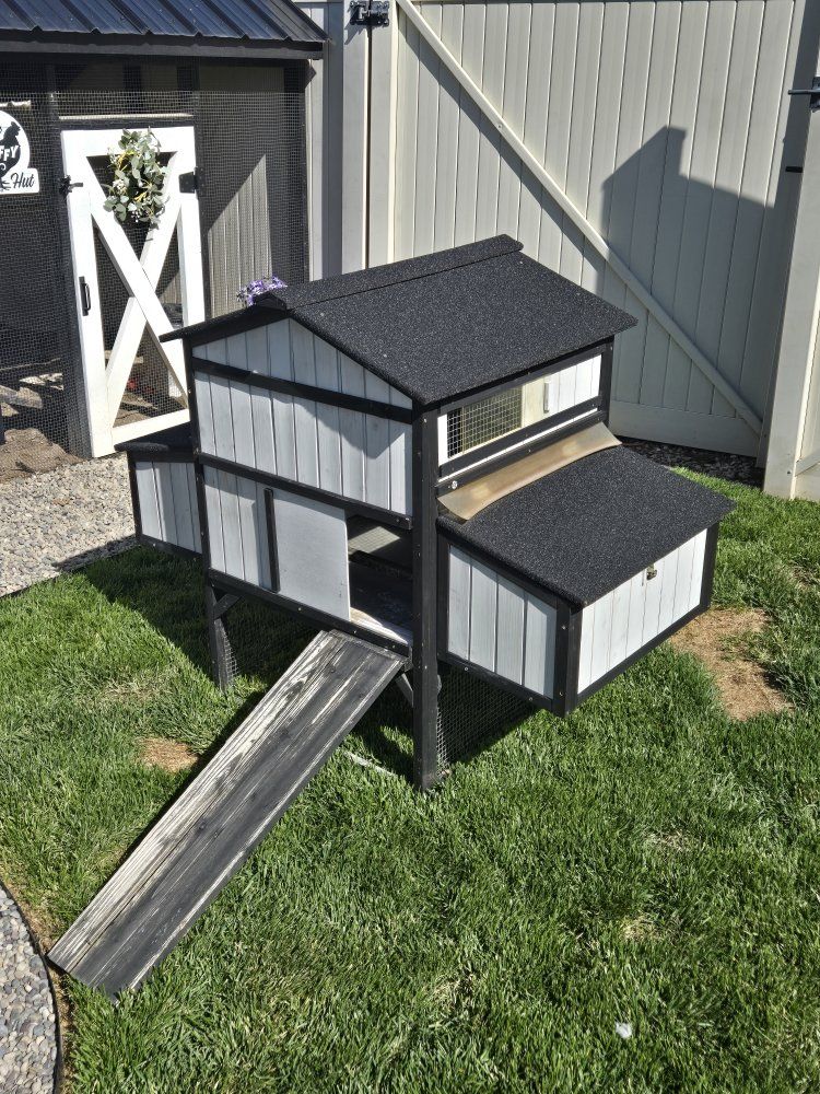 Chicken Coop