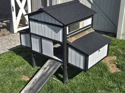 Chicken Coop