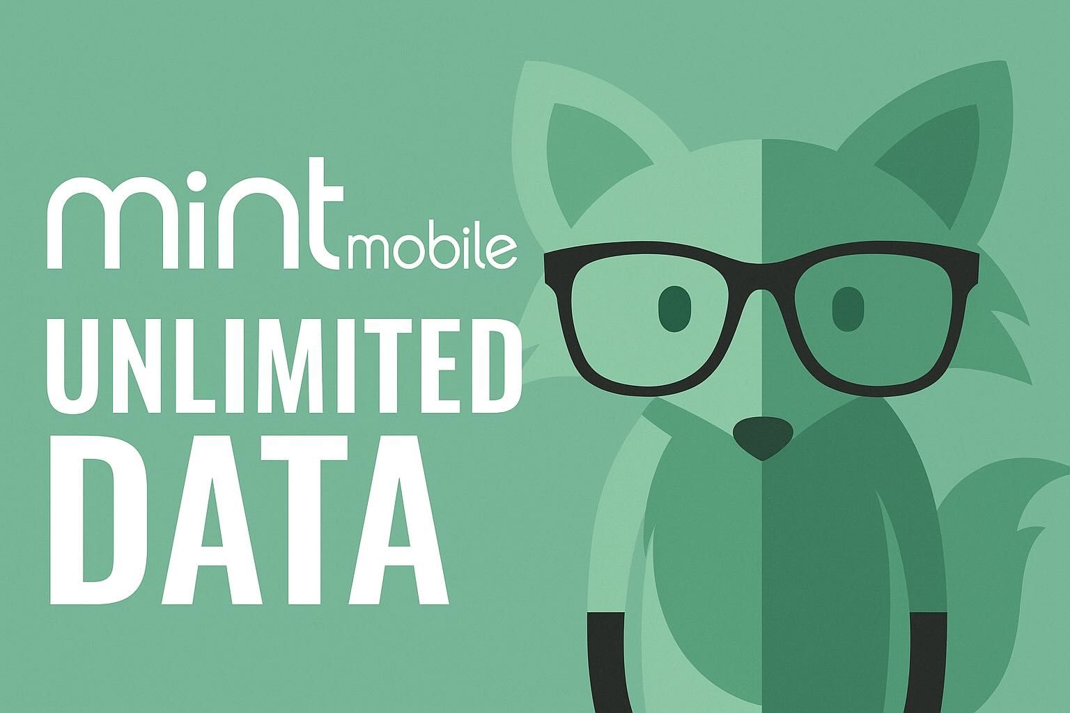 Mint Mobile Unlimited Talk Text and Data 1 yr plan