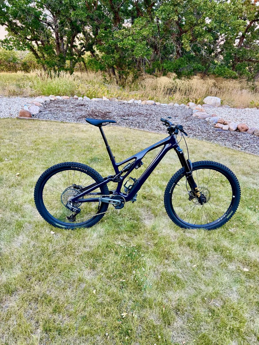 Specialized Stumpjumper EVO S4 mullet