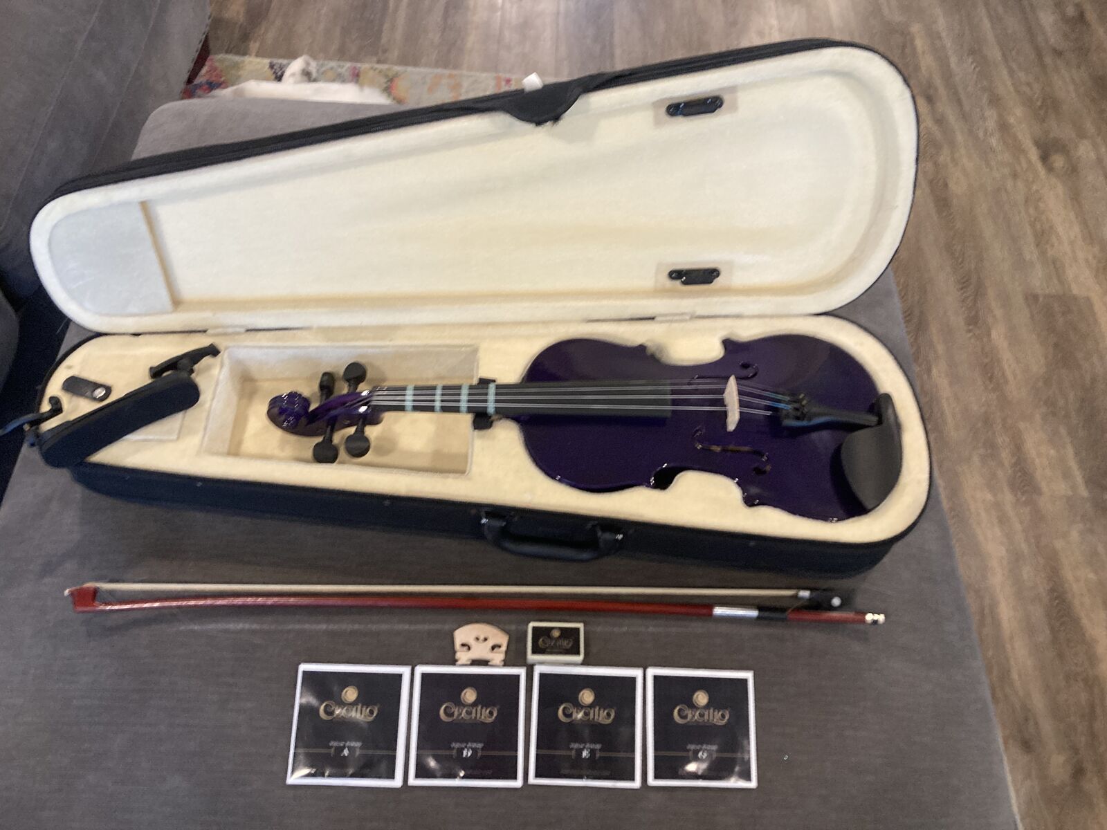 3/4 Sparkly Purple Violin