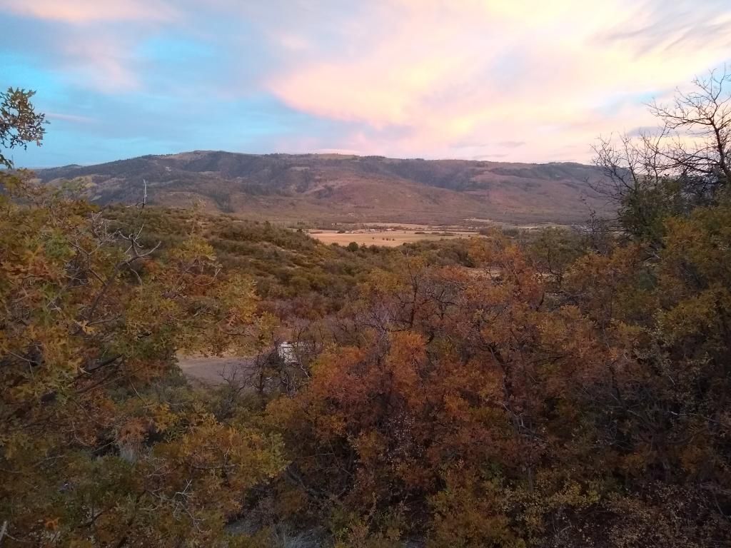 5 acre- Panoramic Forest Views