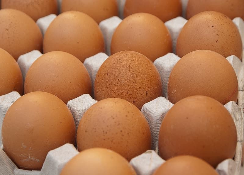 Farm Fresh Eggs (Huevos Frescos)