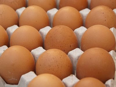Farm Fresh Eggs (Huevos Frescos)
