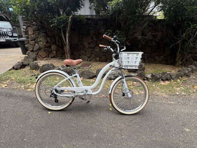 7-Speed Electric (eBike) - Front and Seat Suspension - Step-Through Cruiser - Custom All White