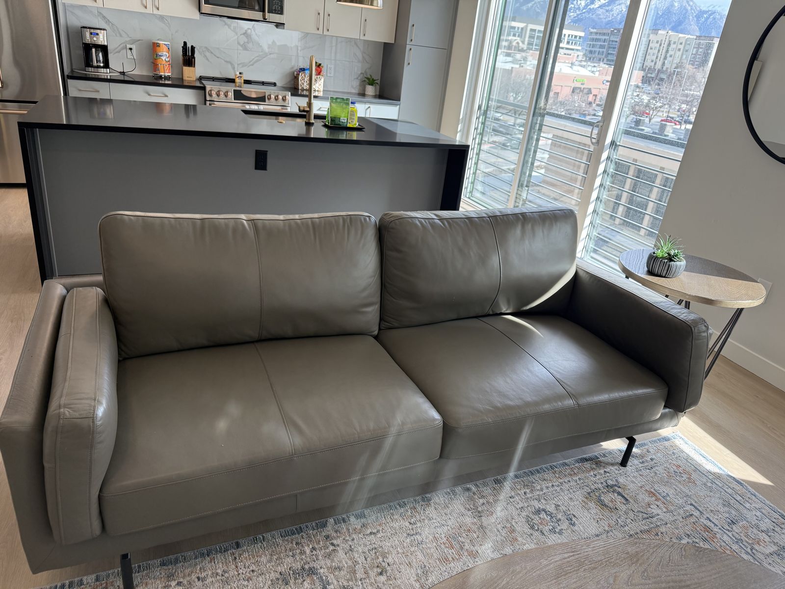 Got cats? Great cat friendly furniture!