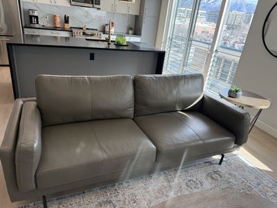 Got cats? Great cat friendly furniture!