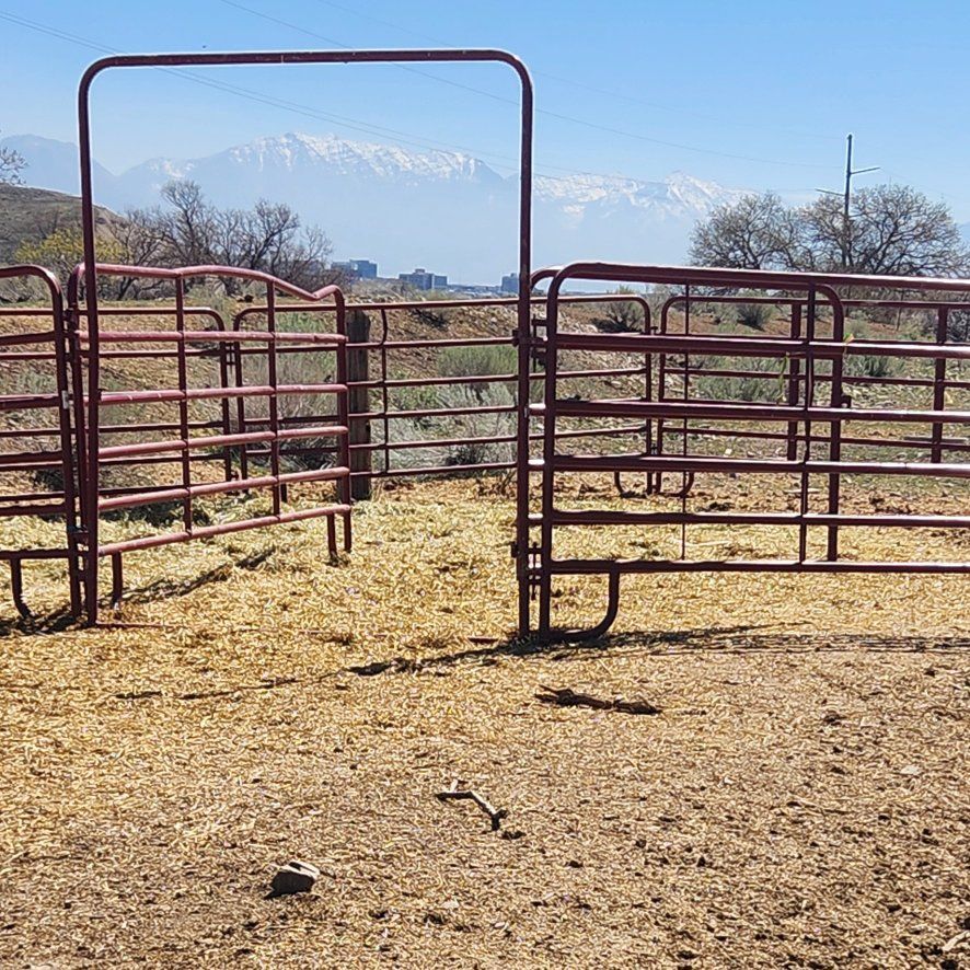 Tartar round pen horse/cattle panels