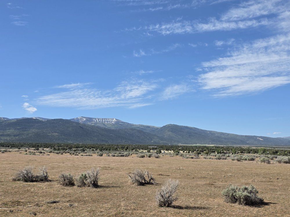 Main image 6