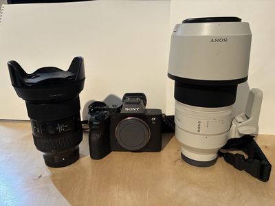 Sony Alpha A7RIV, Sony 100-400, Sigma E mount 24-70mm