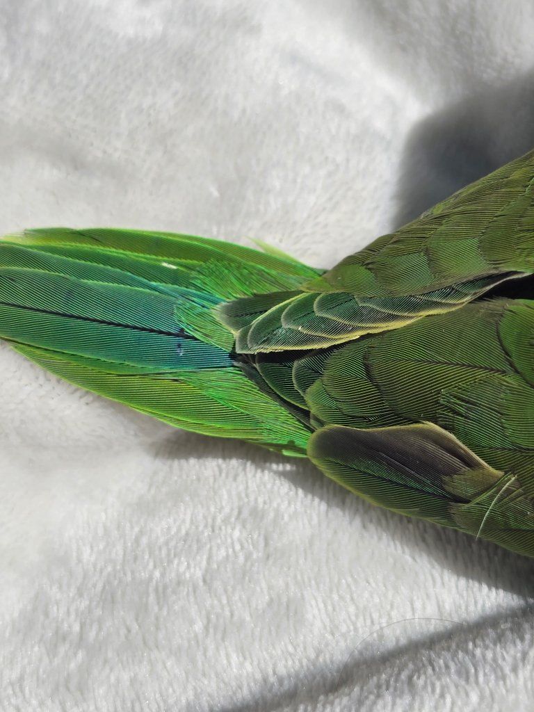 Main image 8