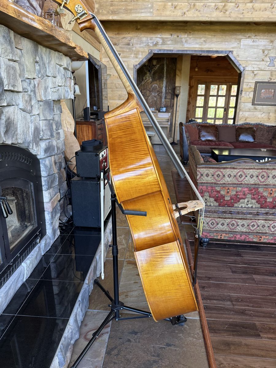 Main image 6