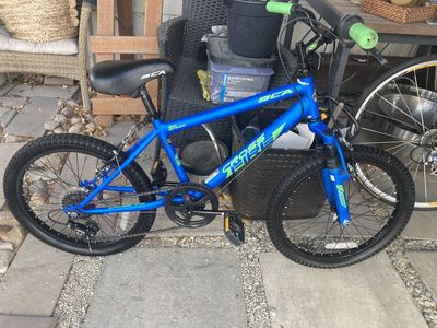 Bca Crossfire 20inch Kids Mountain Bike