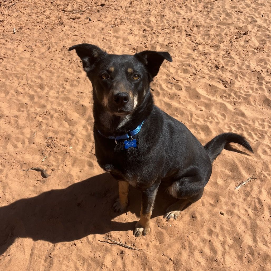 Hello my name is Athena