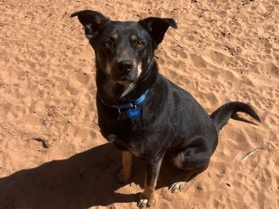 Hello my name is Athena