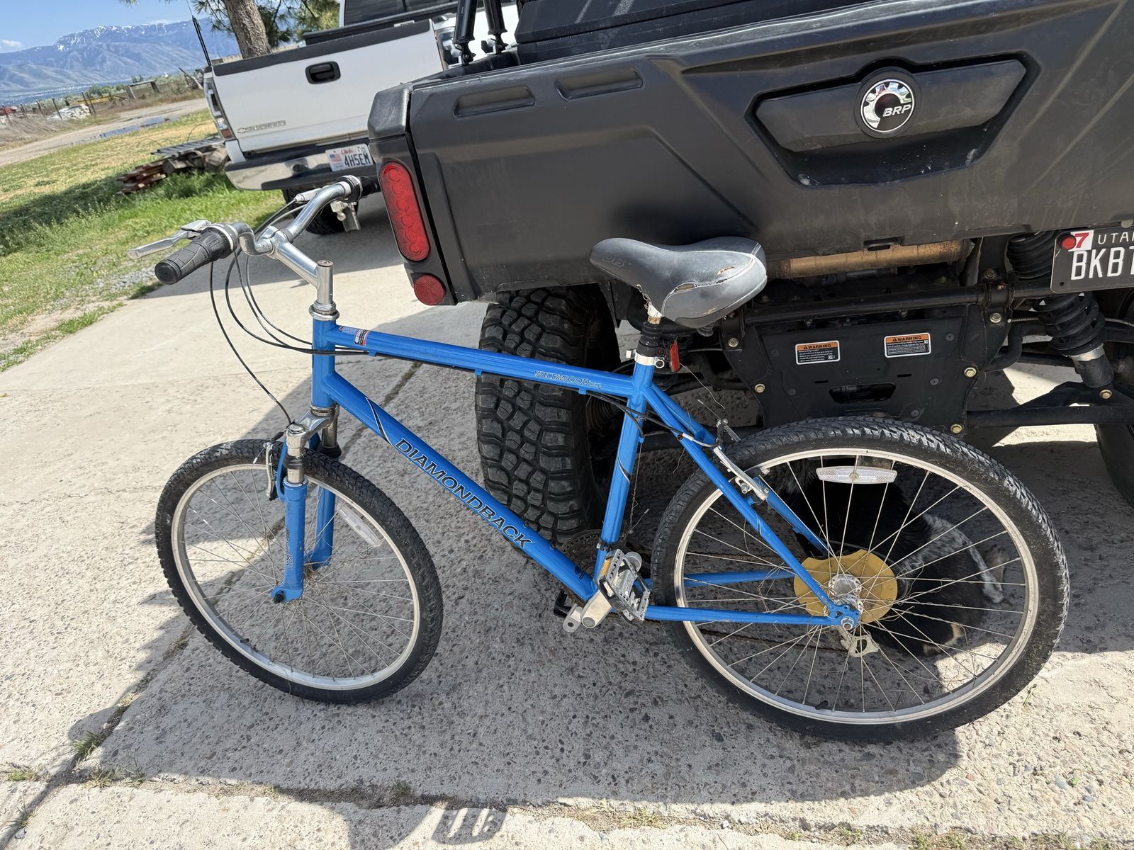 Diamondback Blue Mountain Bike - Great Condition, Ready to Ride!