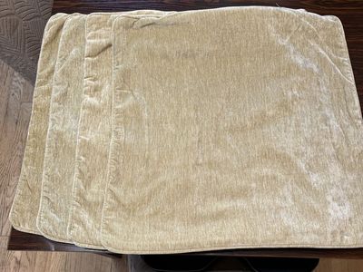 Set of 4 Light Sage Velvet Pillow Covers - 19-1/2” Square