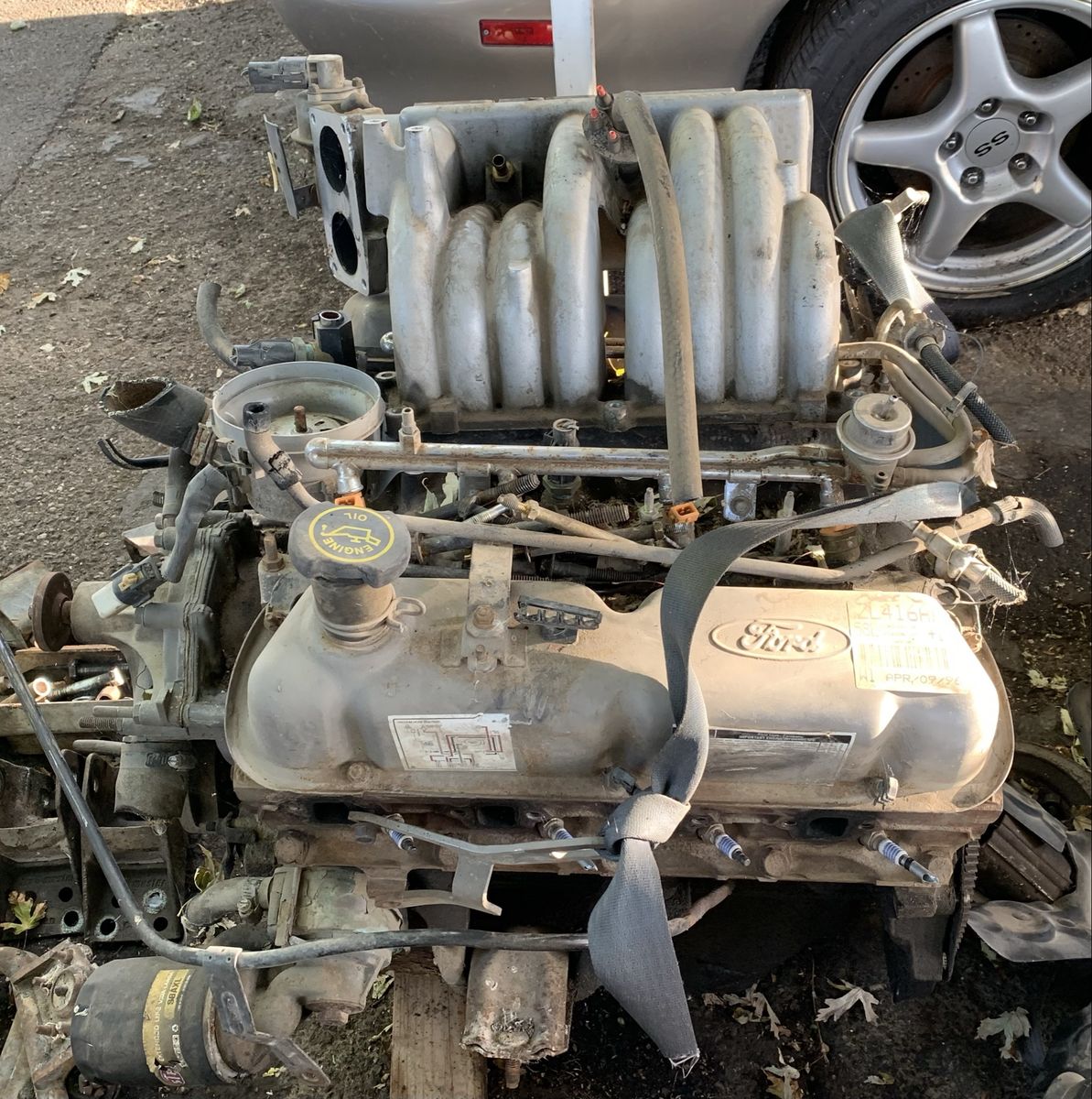 Main image 2