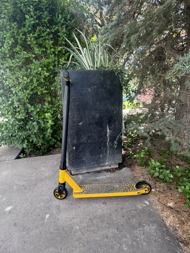Pro Trick Scooter