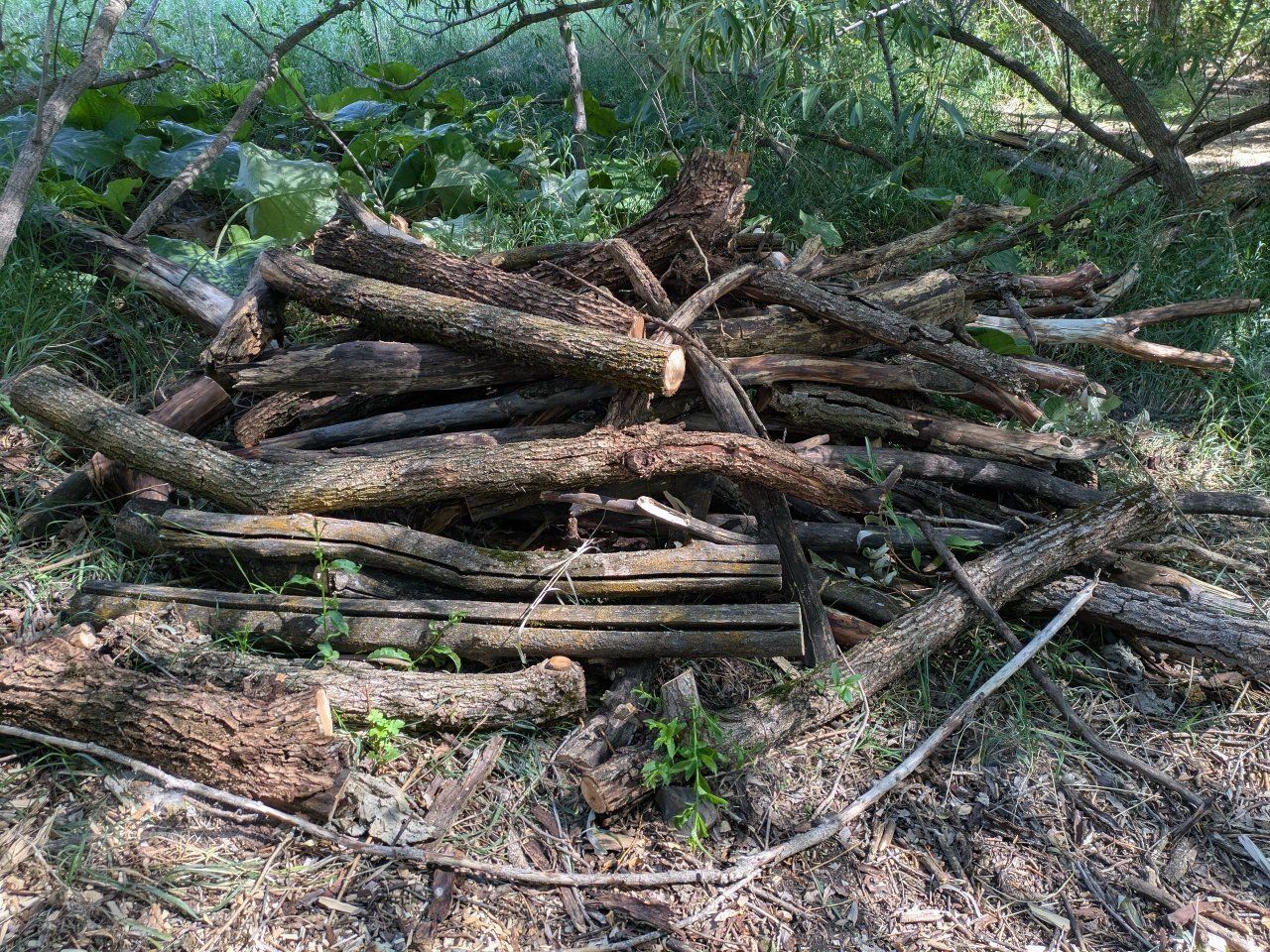 Main image 2