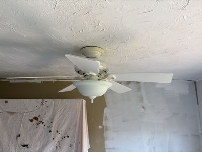 Ceiling fan