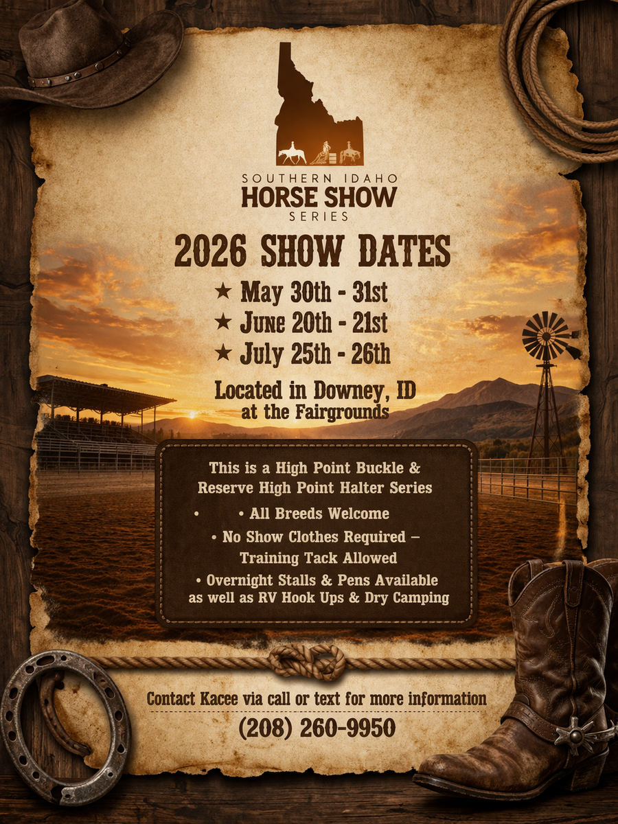 Horse Show Time. Saddles, buckles, halters and more