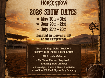 Horse Show Time. Saddles, buckles, halters and more