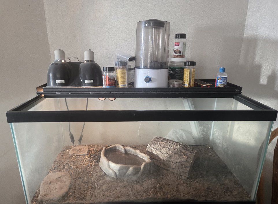 Turtle tank