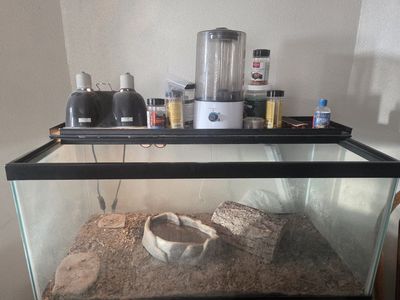 Turtle tank